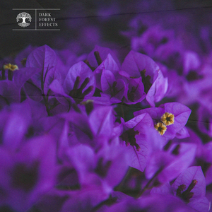 女子乳房折磨 捆绑 强奸 虐乳
