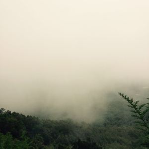 女子乳房折磨 捆绑 强奸 虐乳
